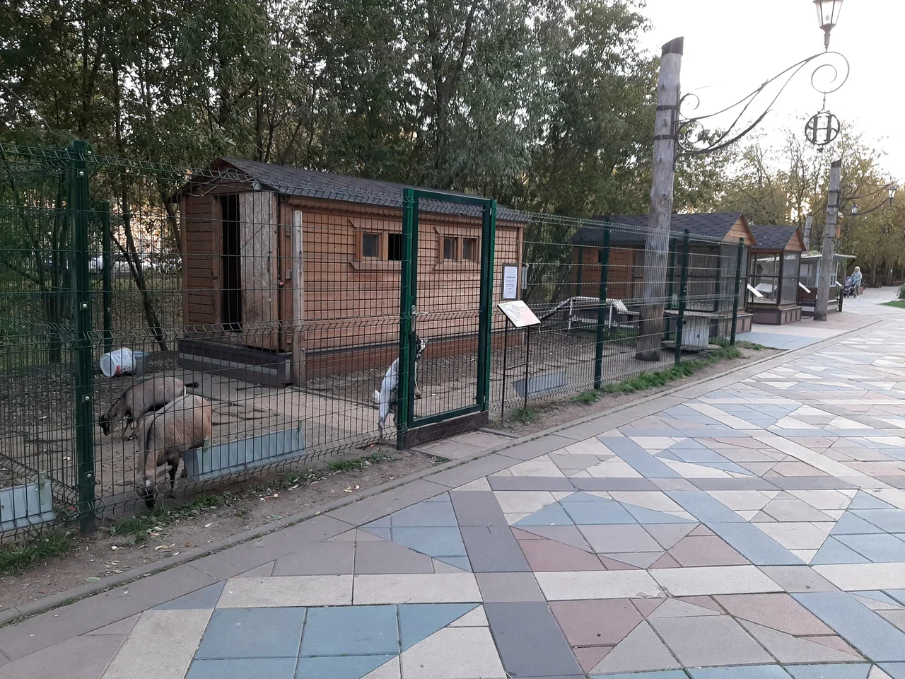 Фото Мини-зоопарк в Невском парке - развлечение в Москве | Досугатор